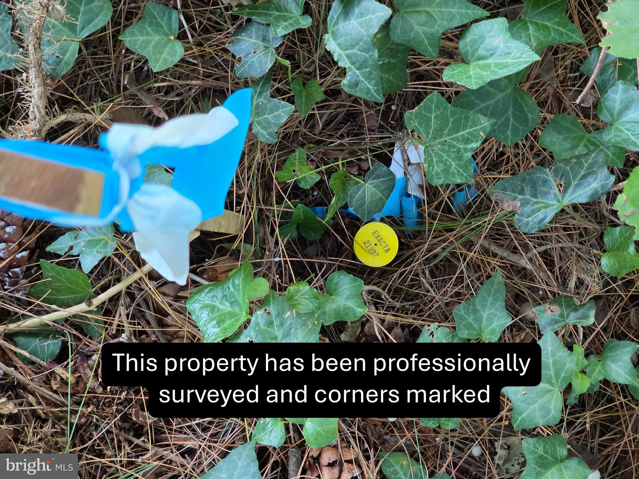 67 Wallace Manor Road Edgewater, MD 21037 - Photo 4 of 36 a view of a wooden fence