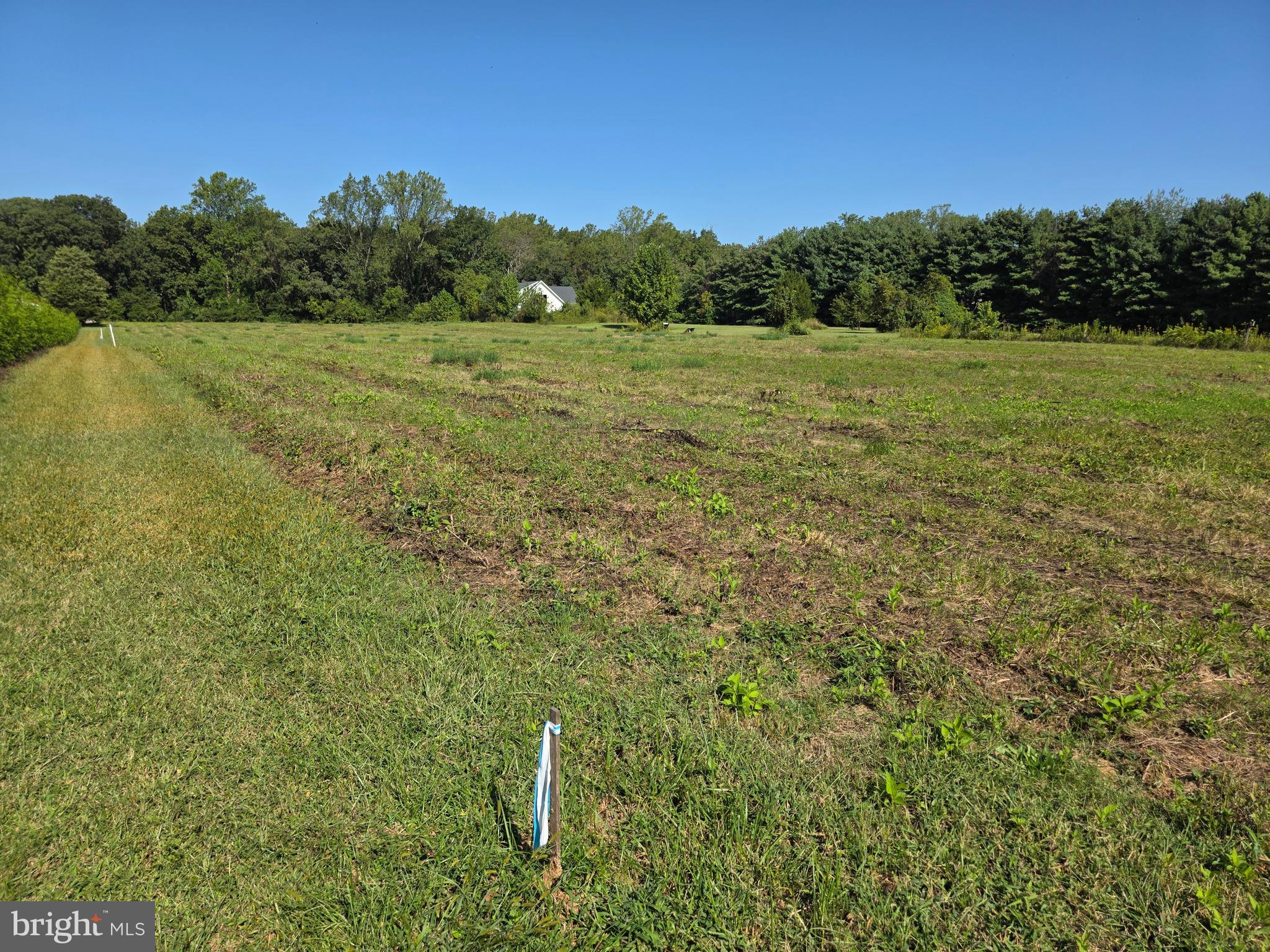 67 Wallace Manor Road Edgewater, MD 21037 - Photo 7 of 36 a view of a field with an trees