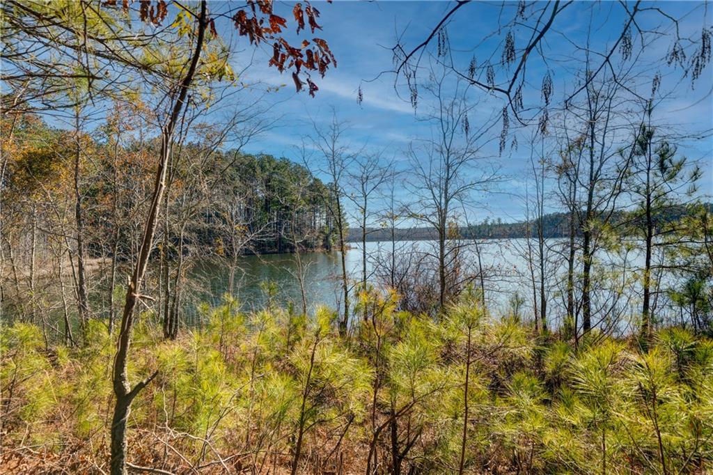 697 Moccasin Gap Road Jackson, GA 30233 - Photo 2 of 9 a backyard of a house with lots of green space