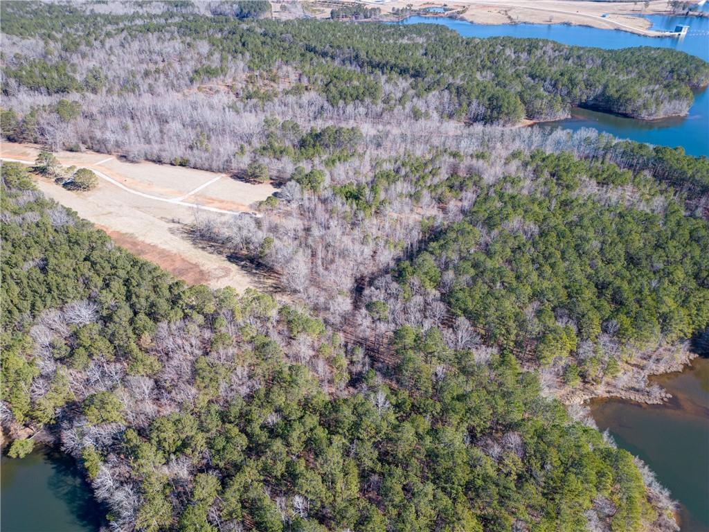 697 Moccasin Gap Road Jackson, GA 30233 - Photo 4 of 9 a view of a yard with a tree