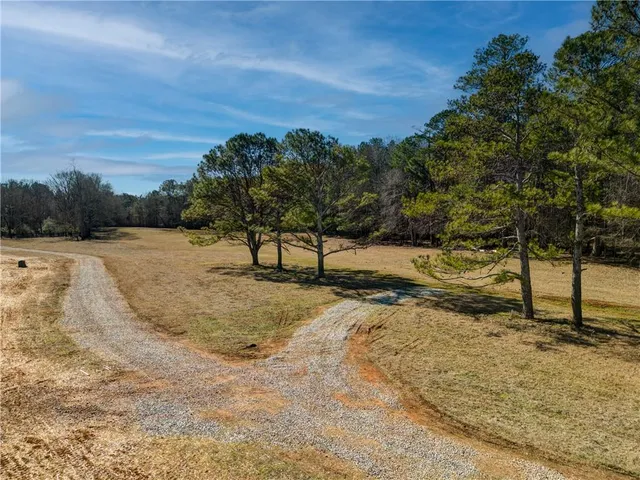 a view of a yard with a tree