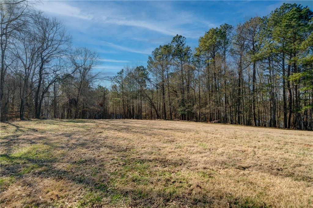 697 Moccasin Gap Road Jackson, GA 30233 - Photo 7 of 9 a view of a yard