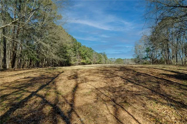 a view of a yard with large trees