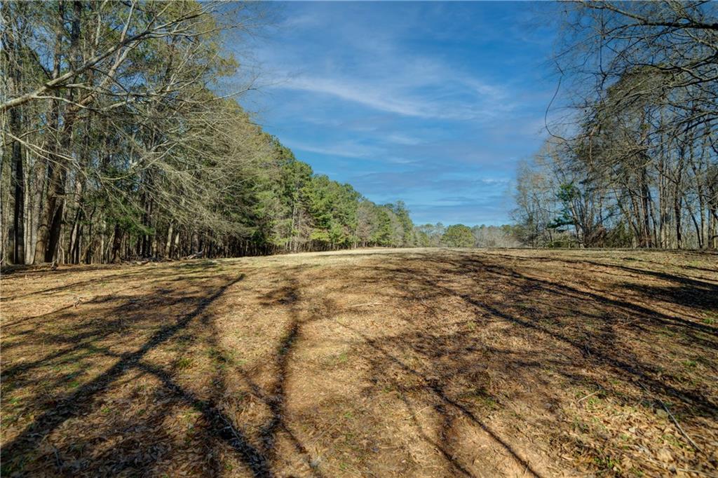 697 Moccasin Gap Road Jackson, GA 30233 - Photo 8 of 9 a view of a yard with large trees