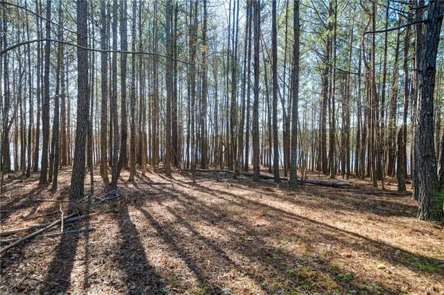 a view of outdoor space with plants
