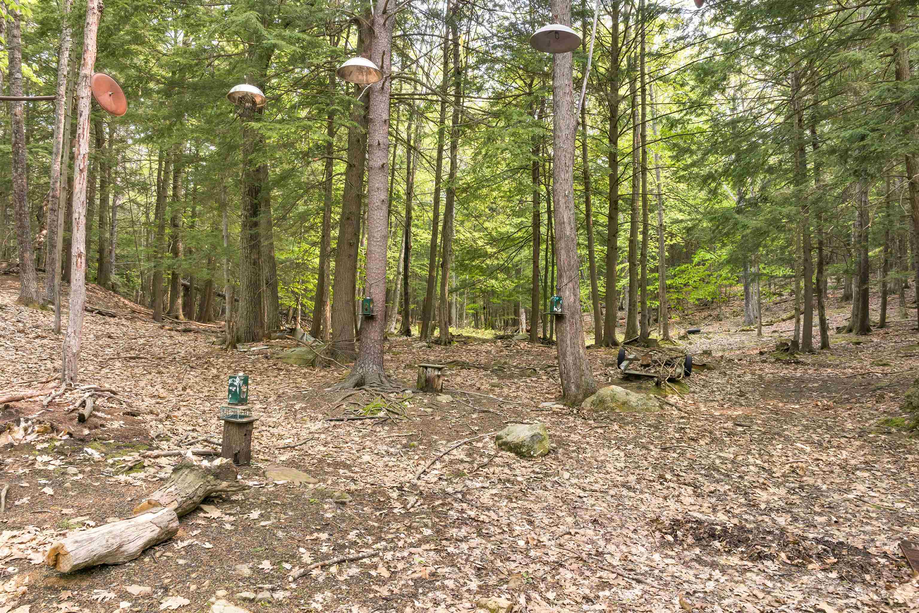 227 Durrell Mountain Road Belmont, NH 03220 - Photo 9 of 38 Gallery Image 9