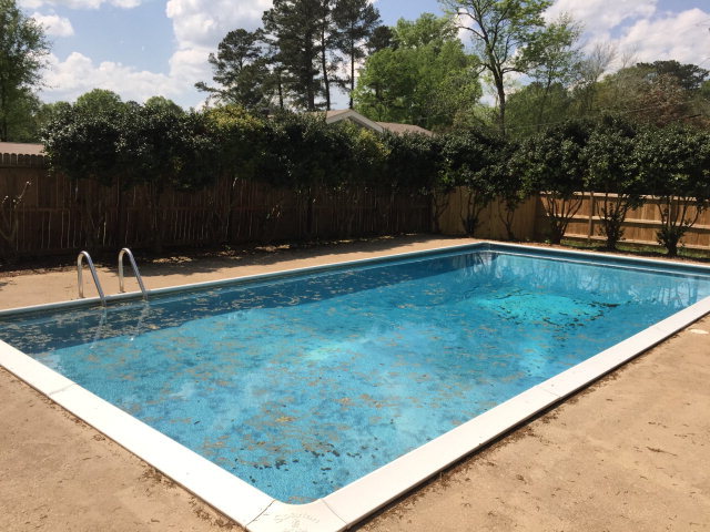 1270 Forest Hill Road Macon, GA 31210 - Photo 15 of 18 Additional Photo