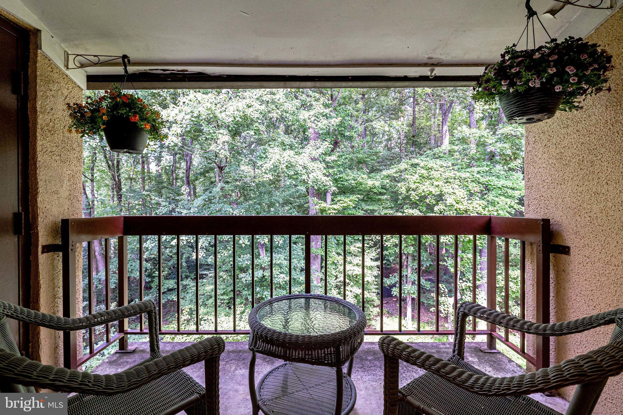 11621 Stoneview Square, Unit 22C Reston, VA 20191 - Photo 31 of 37 Tranquil Back Deck