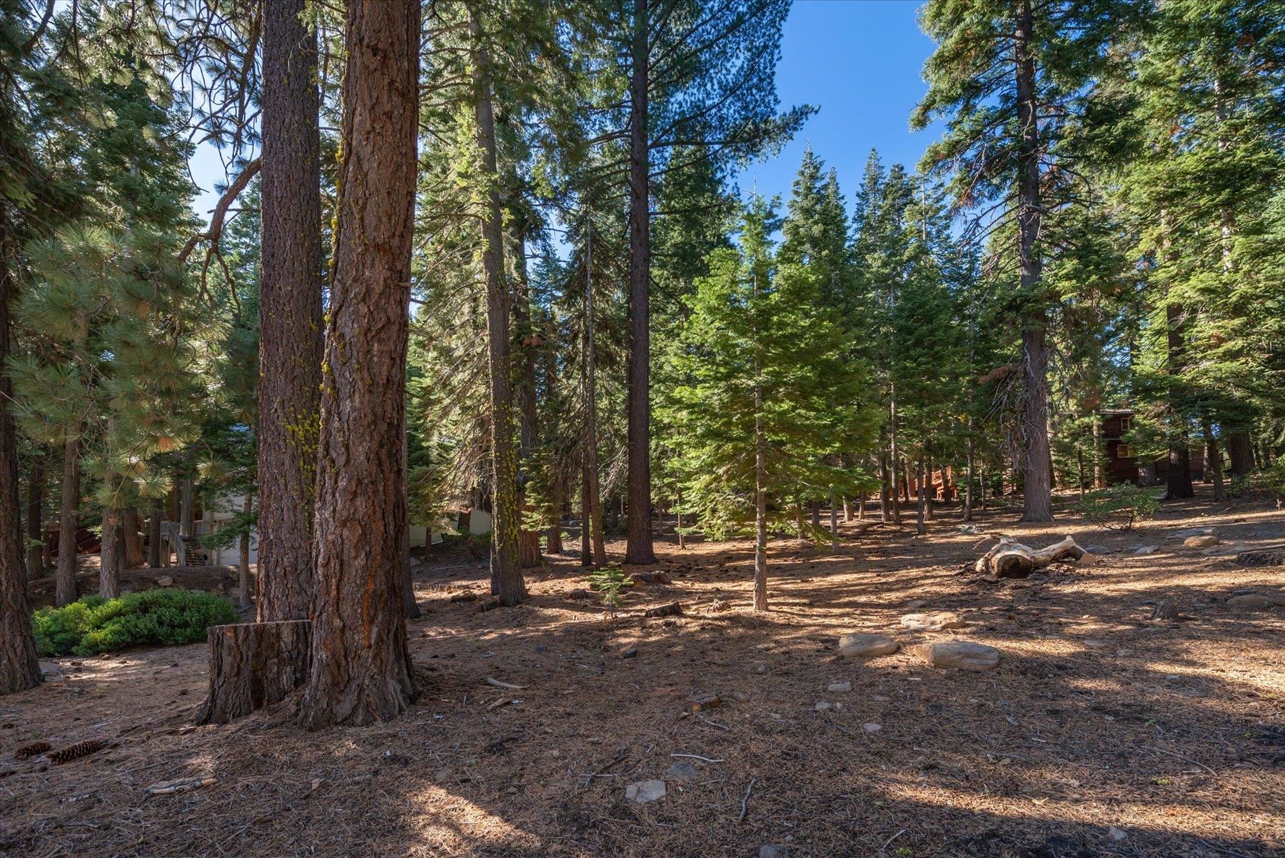 11888 Chamonix Road Truckee, CA 96161 - Photo 14 of 19 Gallery Image 14