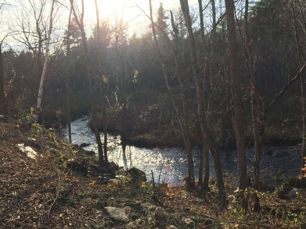 1271 Montalona Road Dunbarton, NH 03046 - Photo 27 of 30