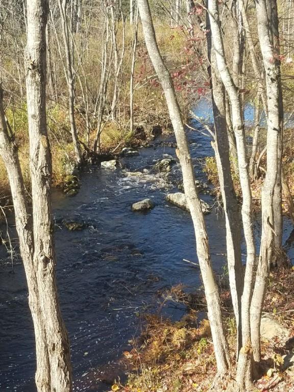 1271 Montalona Road Dunbarton, NH 03046 - Photo 28 of 30