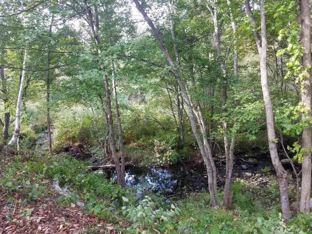 1271 Montalona Road Dunbarton, NH 03046 - Photo 29 of 30