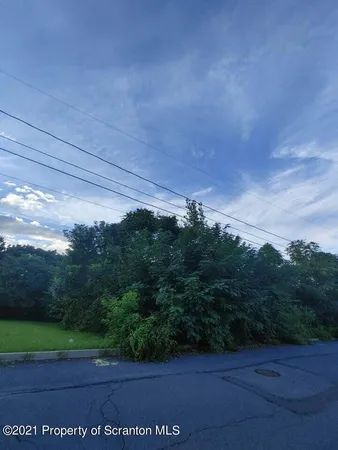 a view of a yard