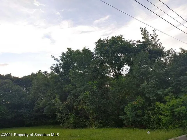 a view of a yard with a tree