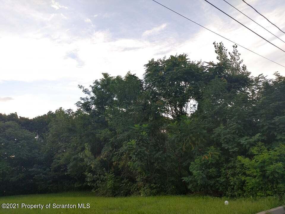 12 Sharon Drive Moosic, PA 18507 - Photo 4 of 8 a view of a yard with a tree