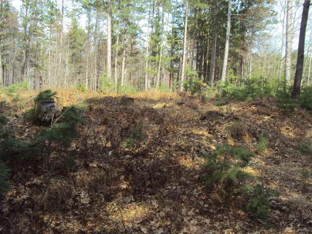 On Falcon Ridge, Unit LOT 3 Minocqua, WI 54548 - Photo 3 of 10 Gallery Image 3