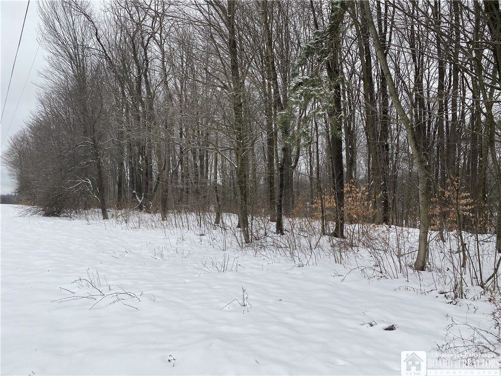 0 Parker Road Sherman, NY 14781 - Photo 1 of 1 Gallery Image 1