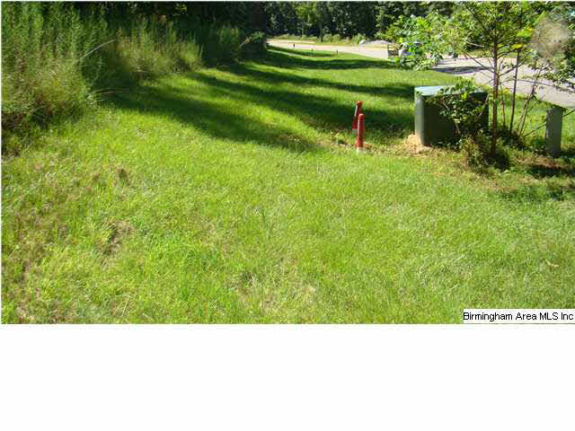 Stagg Run Circle, Unit 19 Pelham, AL 35124 - Photo 7 of 17