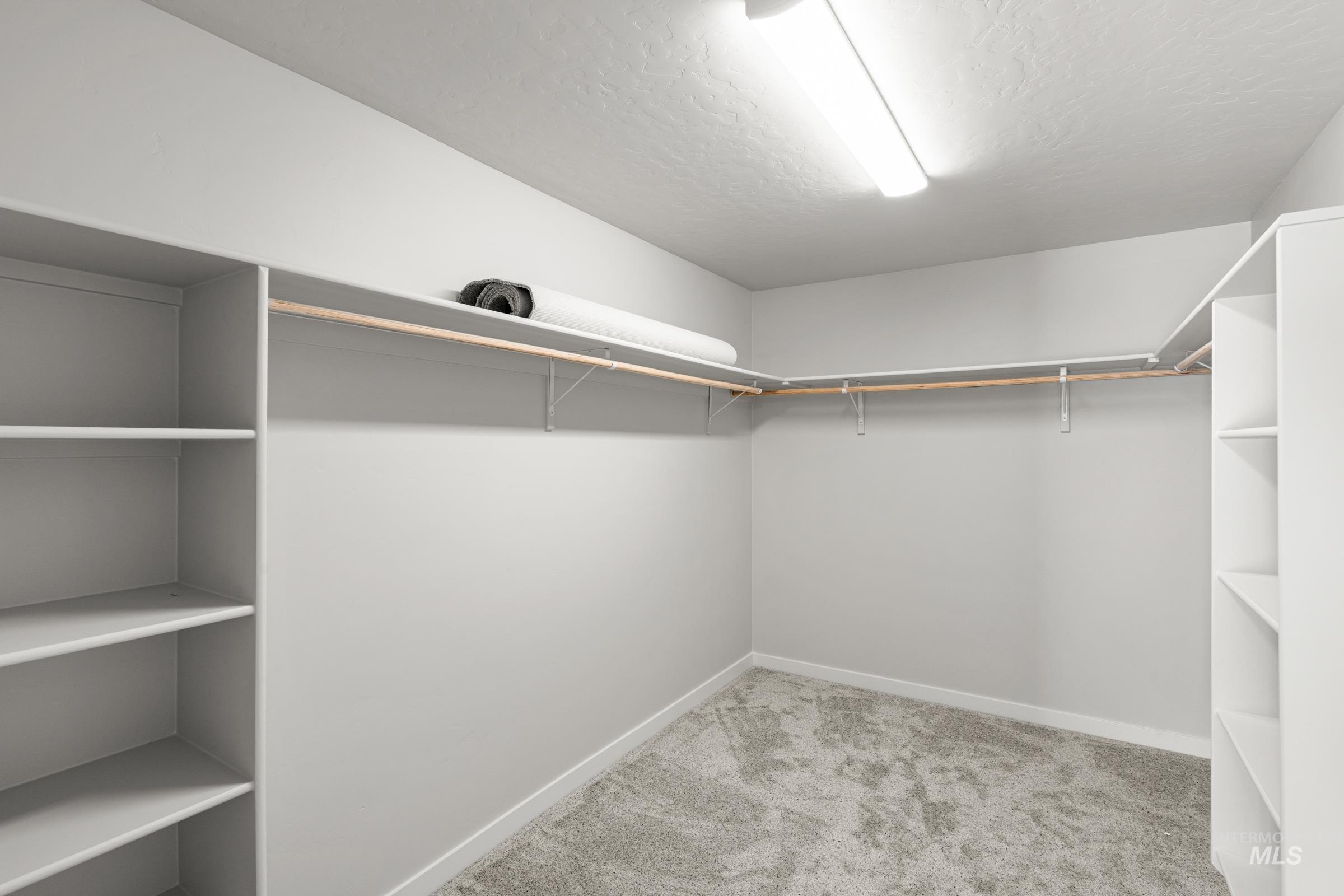 1641 Dyer Street Middleton, ID 83644 - Photo 22 of 28 Walk in closet with light carpet