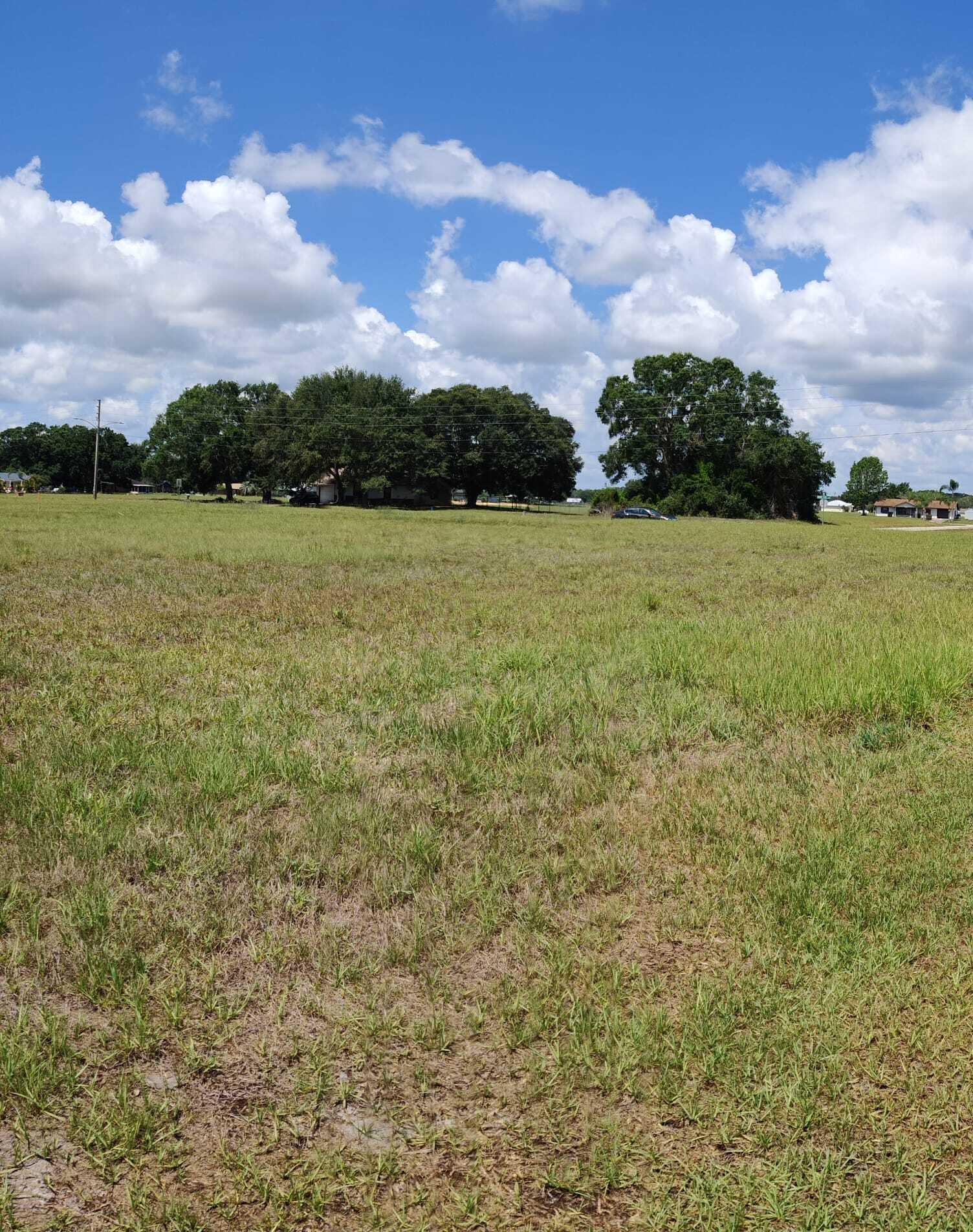 225 Monte Real Boulevard Sebring, FL 33876 - Photo 2 of 6 a view of a outdoor space and trees