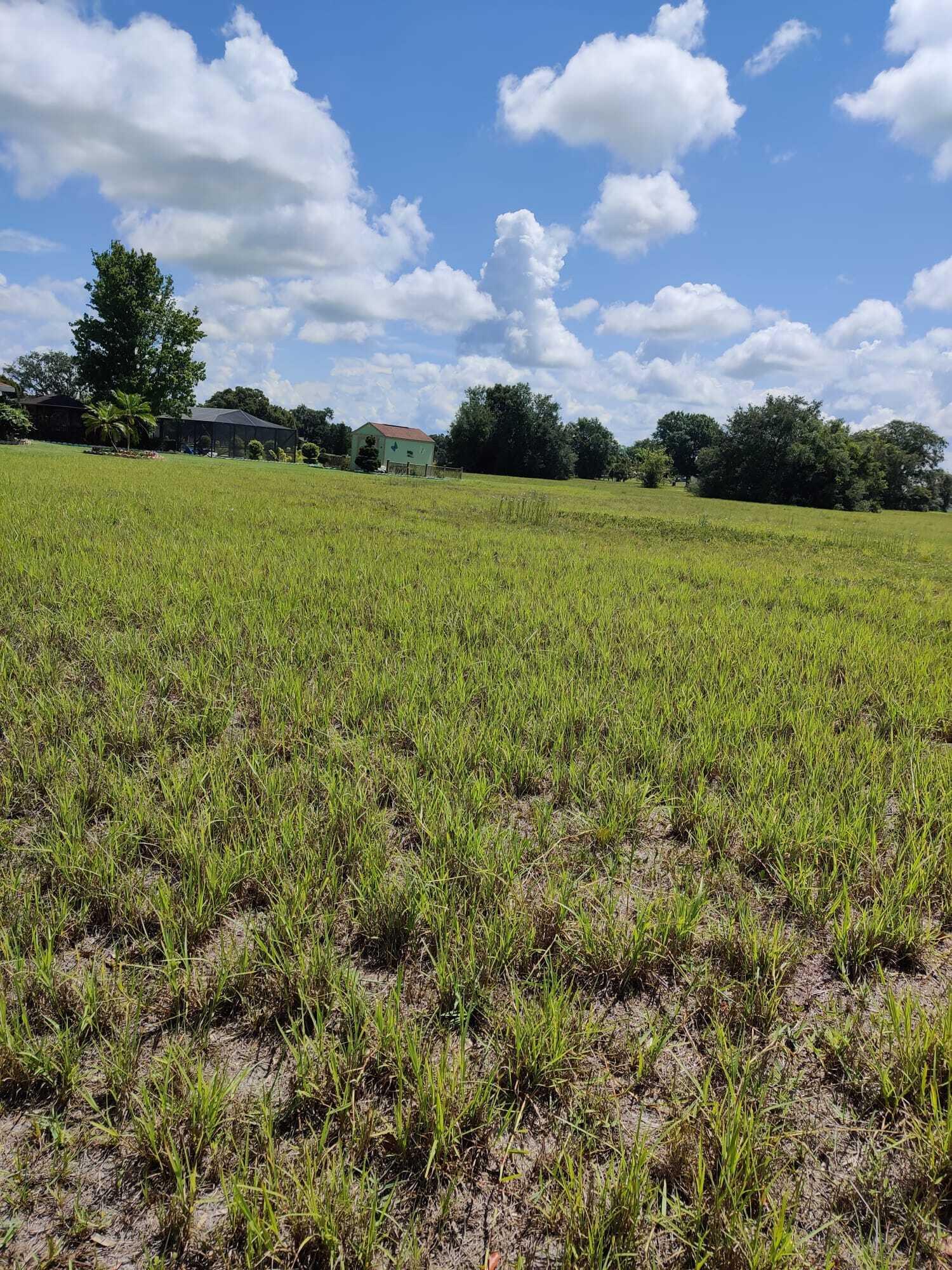 225 Monte Real Boulevard Sebring, FL 33876 - Photo 6 of 6