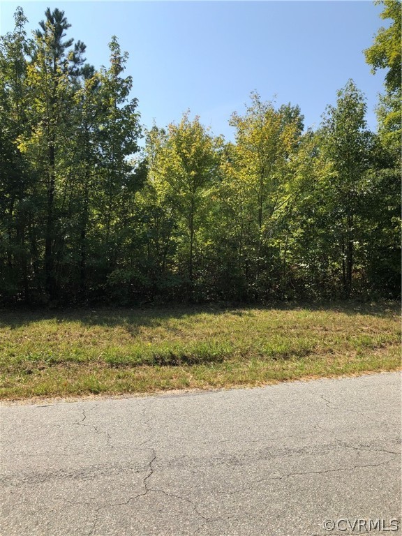 0 Smith Family Road Louisa, VA 23093 - Photo 1 of 2 Gallery Image 1