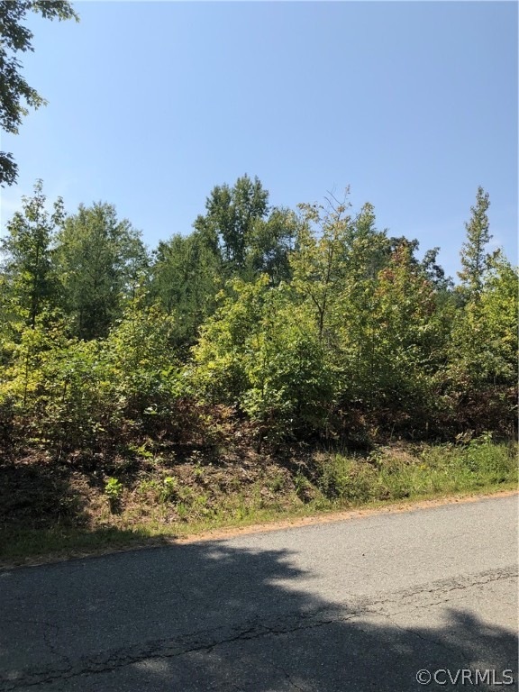 0 Smith Family Road Louisa, VA 23093 - Photo 2 of 2 Gallery Image 2