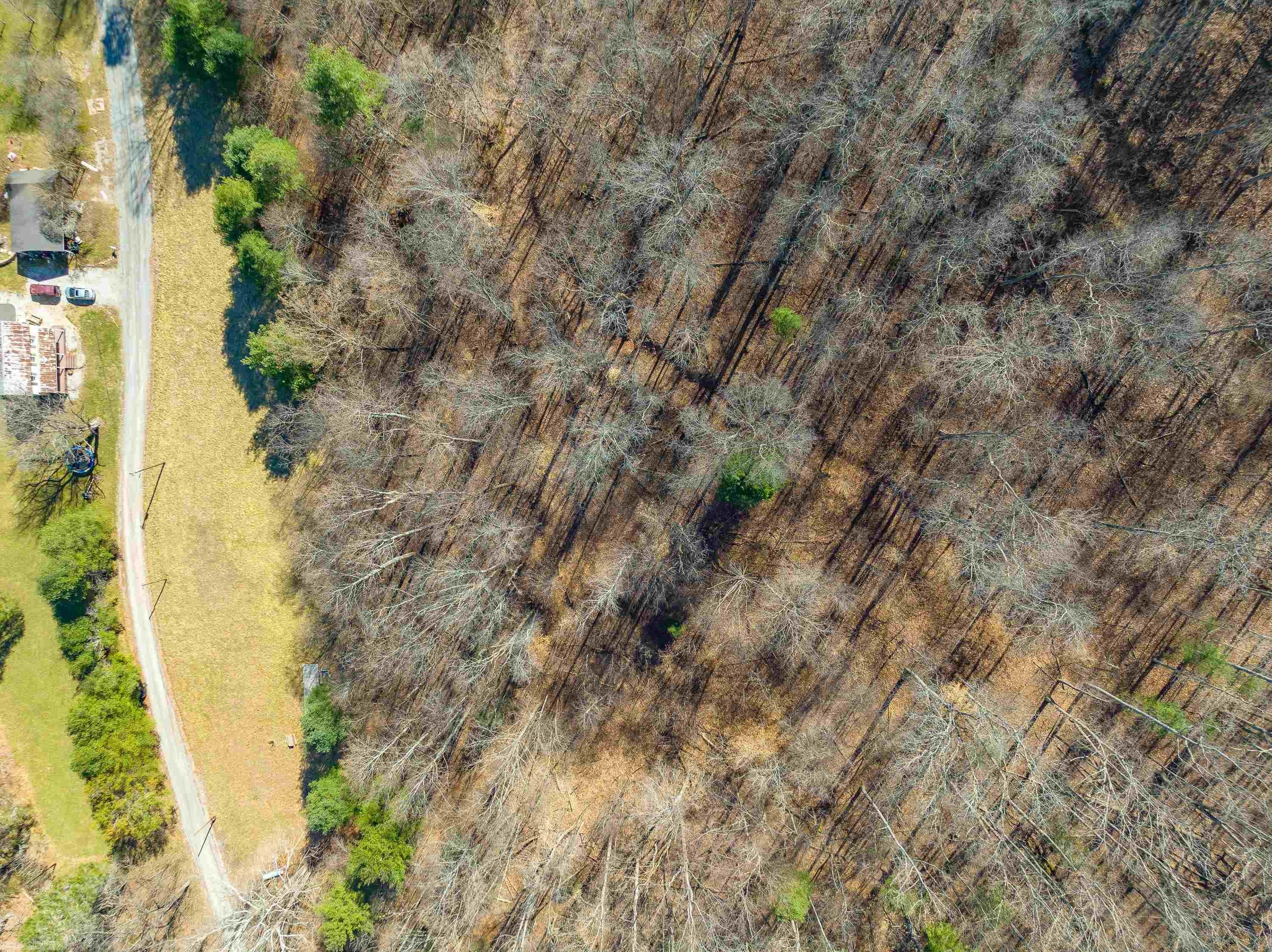 Tbd Ambrose Road Elliston, VA 24087 - Photo 7 of 41 Gallery Image 7