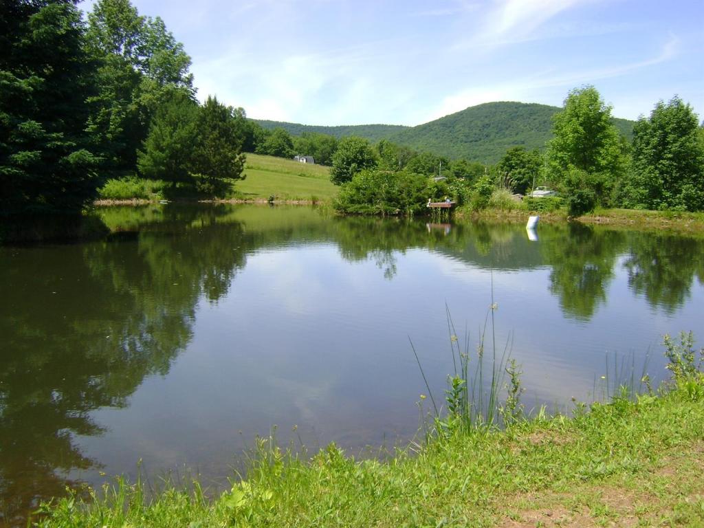 1187 Lower Meeker Hollow Road Roxbury, NY 12474 - Photo 27 of 31