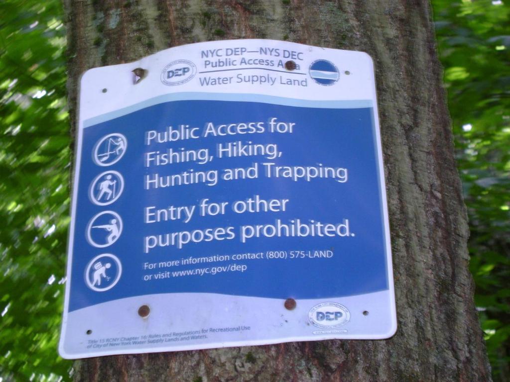 1187 Lower Meeker Hollow Road Roxbury, NY 12474 - Photo 7 of 31