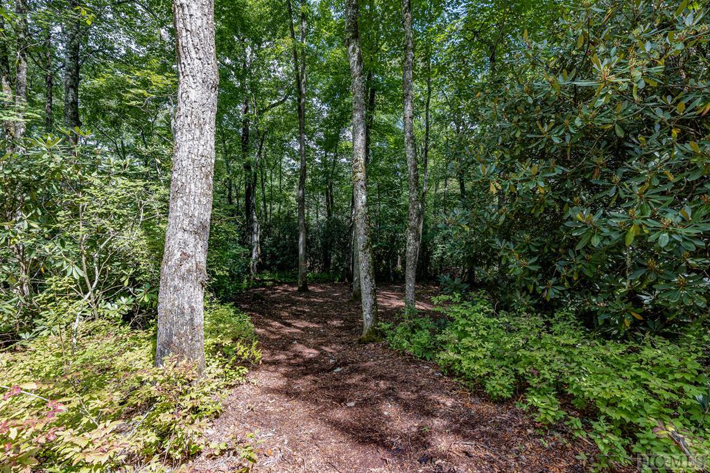 Lot 73 Flagstone Road Sapphire, NC 28774 - Photo 1 of 4 Gallery Image 1