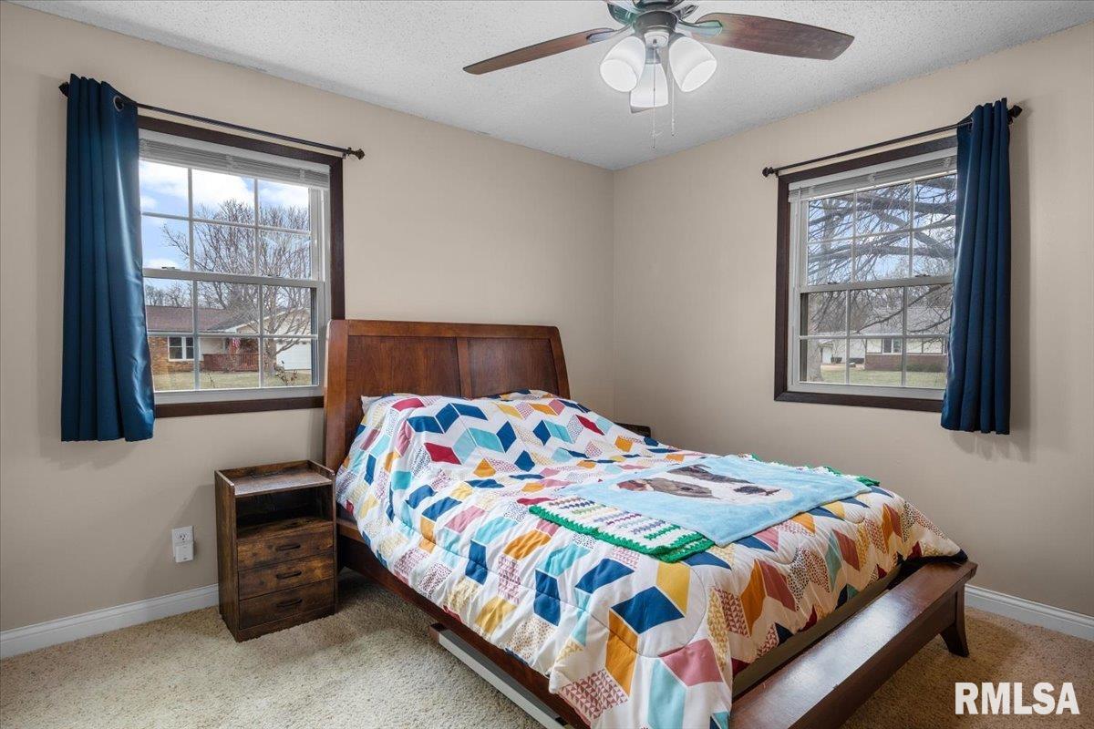 23171 Beulah Drive Athens, IL 62613 - Photo 27 of 37