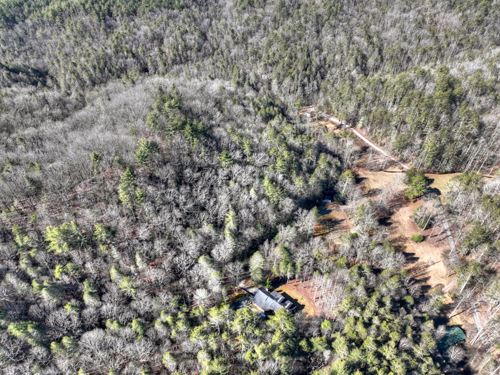 7233 Shakerag Road Ellijay, GA 30540 - Photo 101 of 121