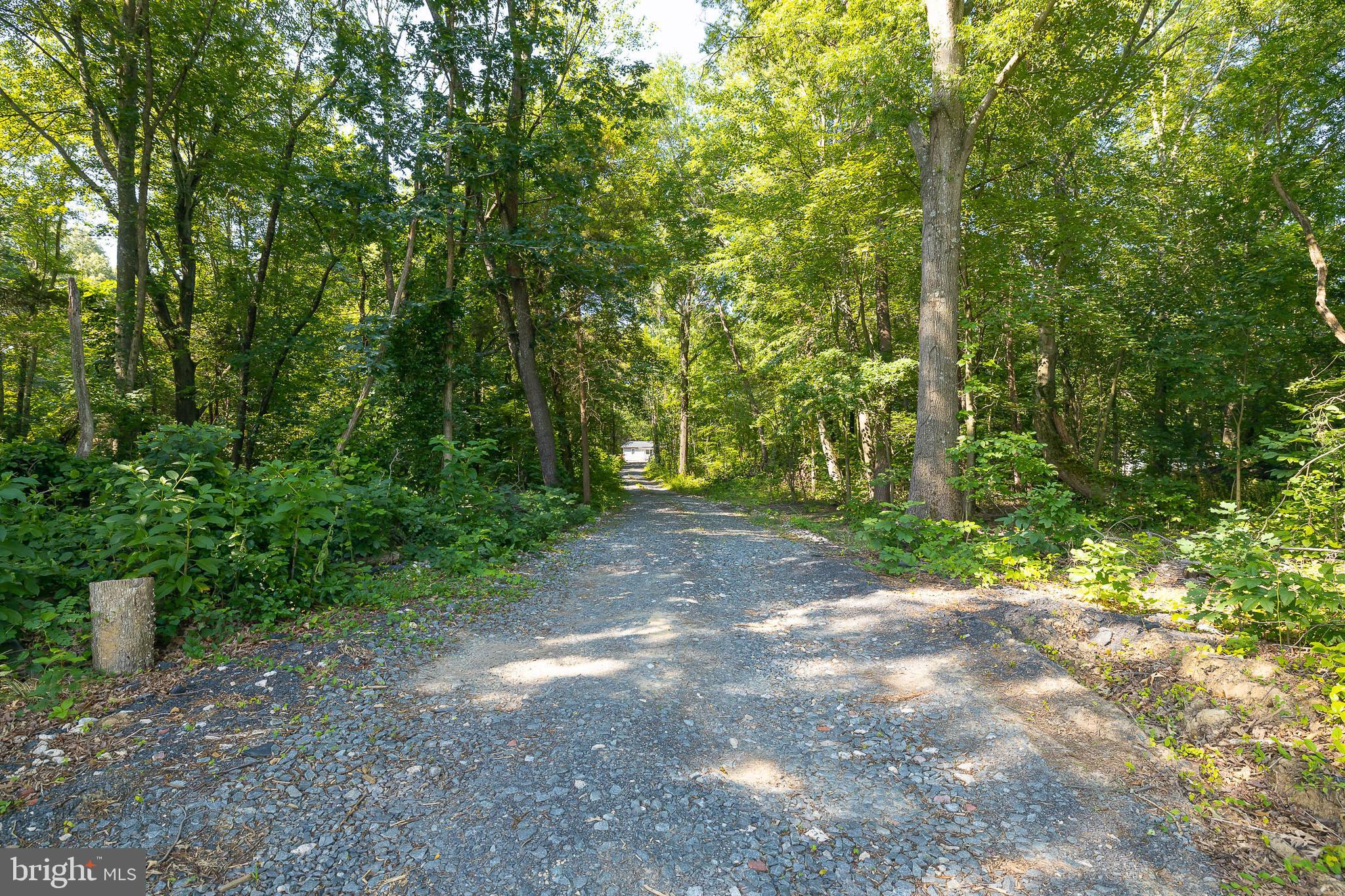 10018 Meetze Road Midland, VA 22728 - Photo 3 of 28 Gravel Driveway from Street