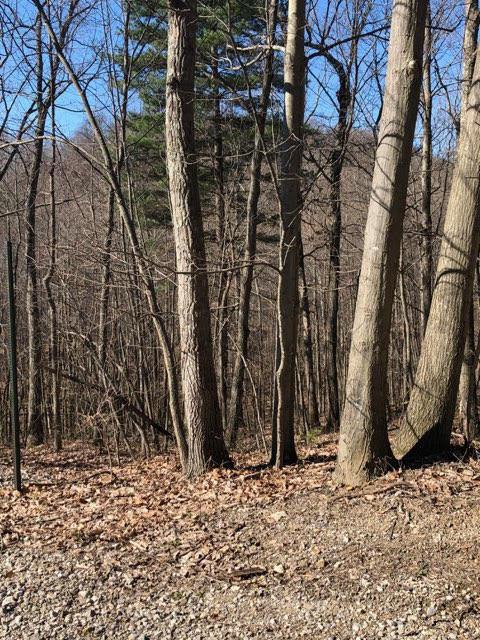 0 McGrery Road Southeast, Unit LOT #1 Lancaster, OH 43130 - Photo 2 of 6