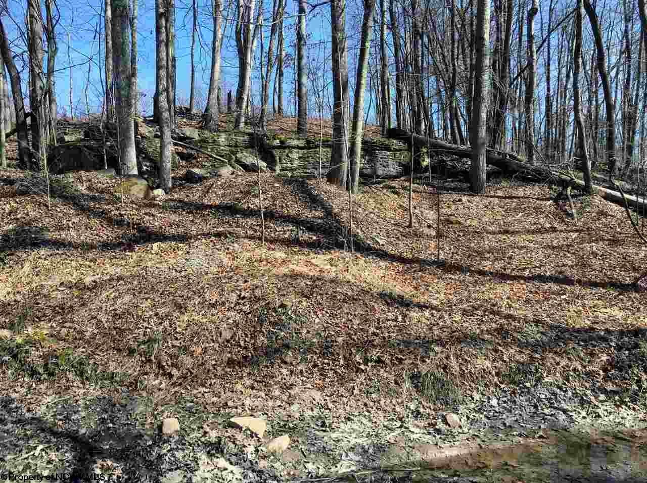 0 Petrich Road Morgantown, WV 26508 - Photo 2 of 8 Gallery Image 2