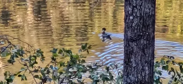 $1,100,000 | 382 Pocaset, Ellijay, GA 30540