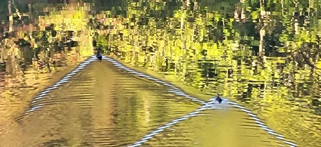 $1,100,000 | 382 Pocaset, Ellijay, GA 30540