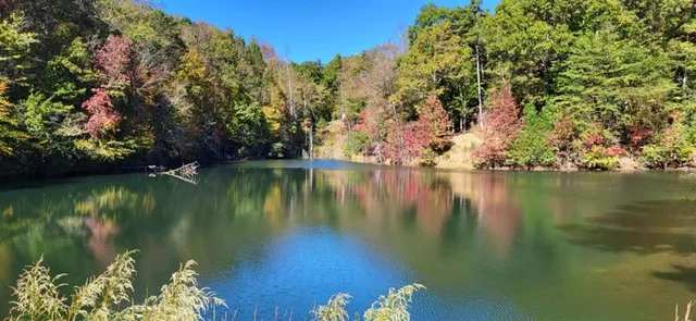 $1,100,000 | 382 Pocaset, Ellijay, GA 30540