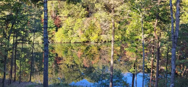 $1,100,000 | 382 Pocaset, Ellijay, GA 30540