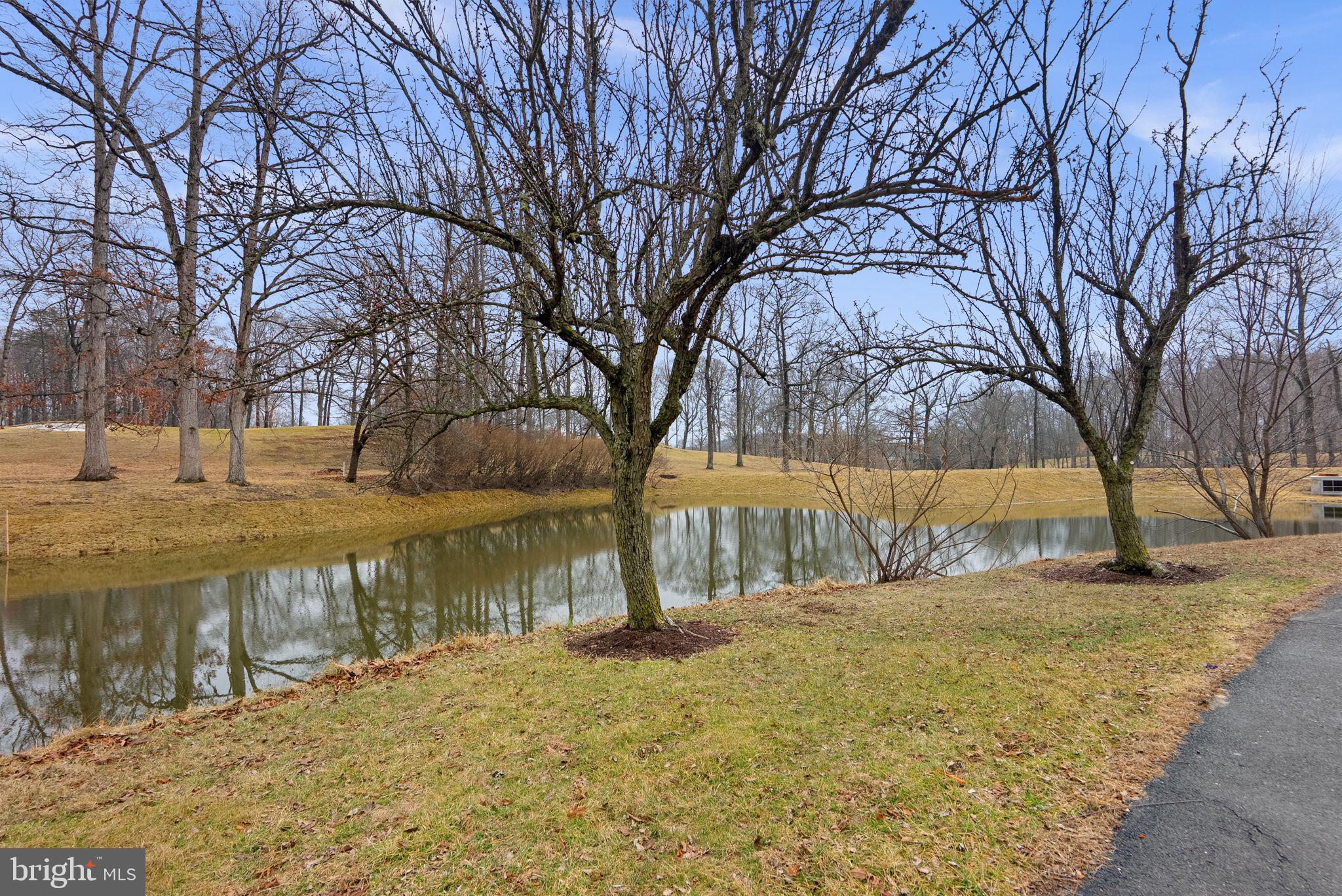15101 Interlachen Drive, Unit 1705 Silver Spring, MD 20906 - Photo 15 of 17 a view of swimming pool with outdoor space