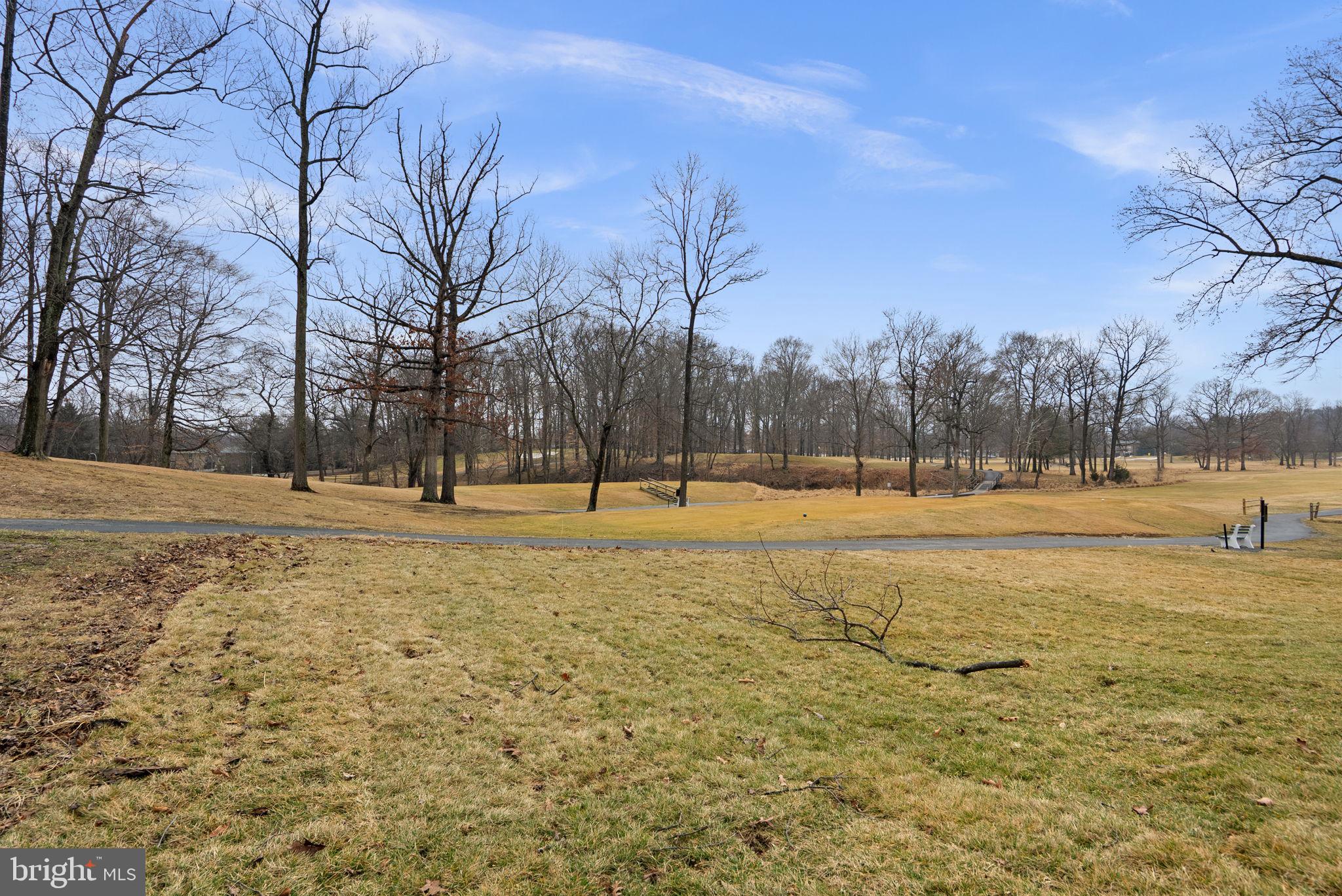 15101 Interlachen Drive, Unit 1705 Silver Spring, MD 20906 - Photo 16 of 17 a view of outdoor space with trees