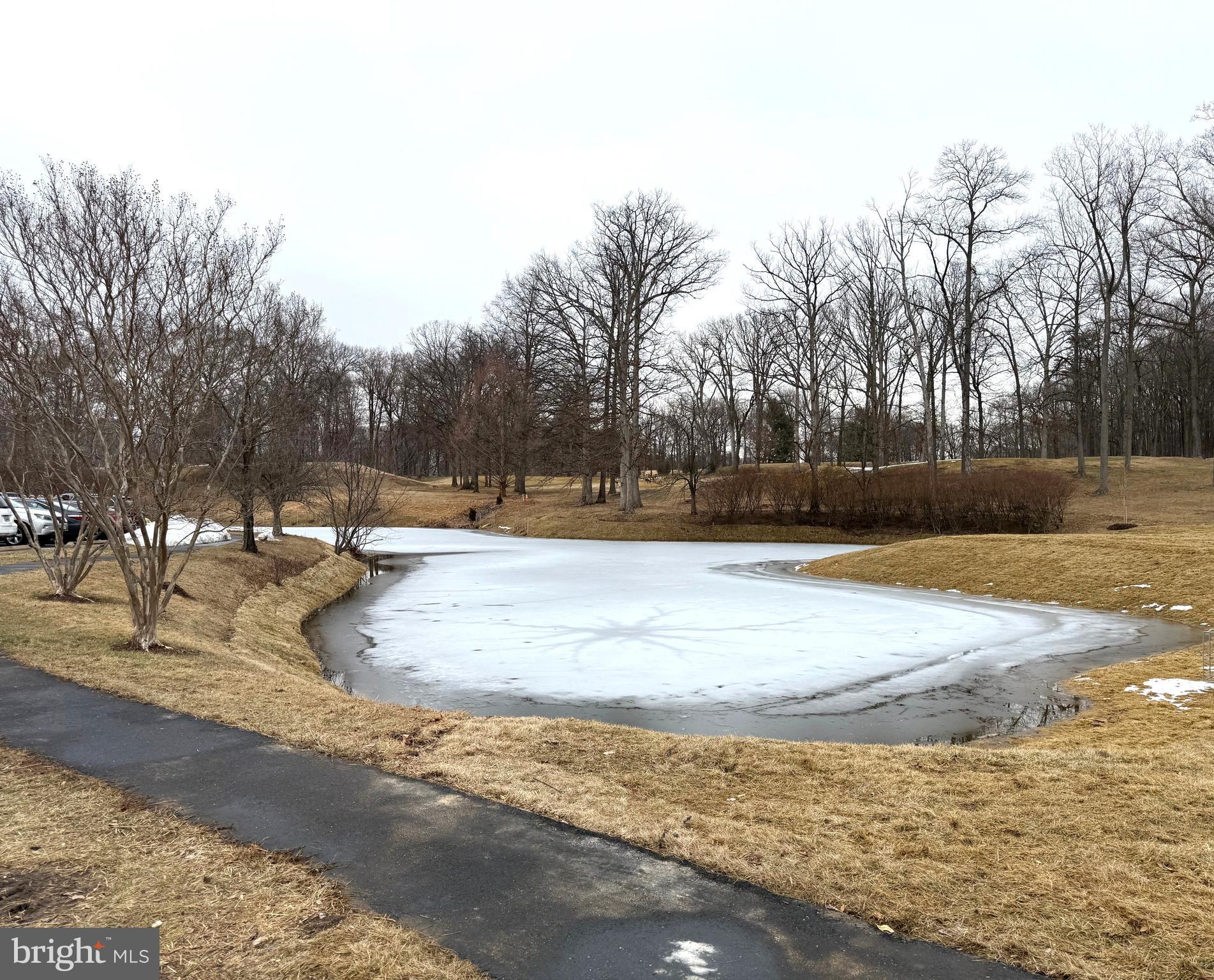 15101 Interlachen Drive, Unit 1705 Silver Spring, MD 20906 - Photo 17 of 17