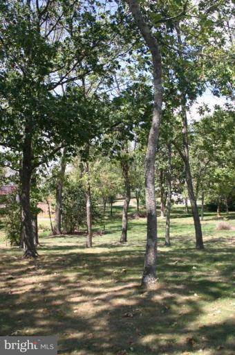 92 Truman Road Inwood, WV 25428 - Photo 10 of 11 a view of a trees in a yard