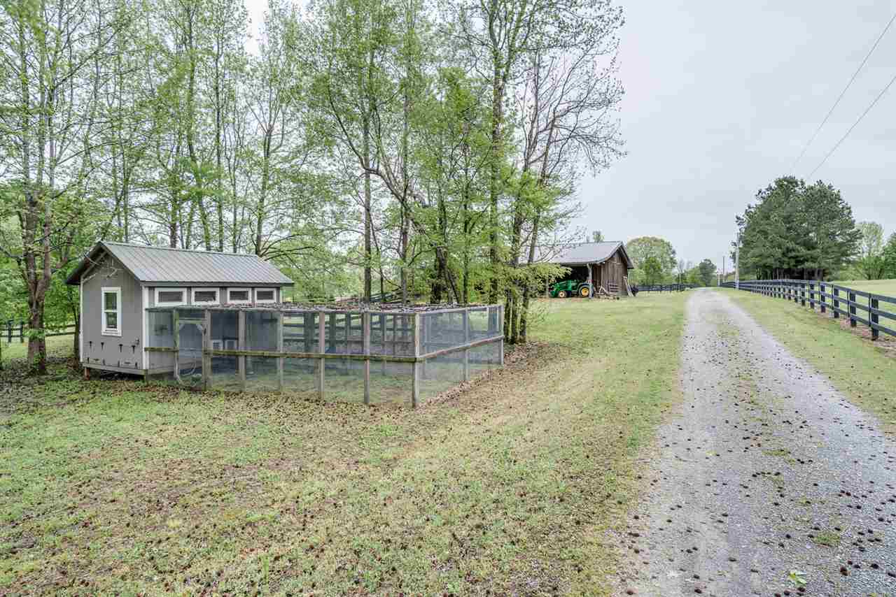 750 Anderson Road Moscow, TN 38057 - Photo 20 of 25 Brilliantly thought out chicken coop makes cleaning super easy!!