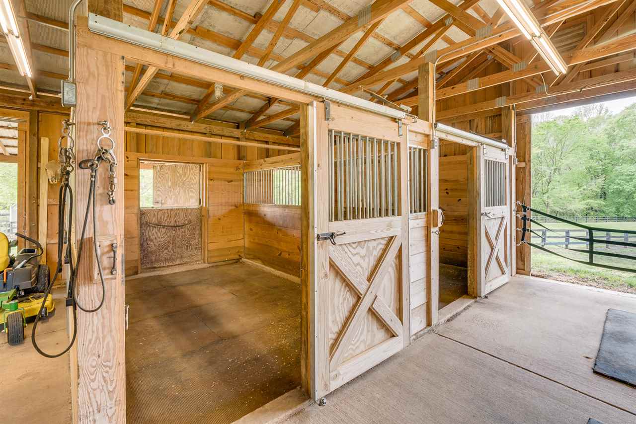 750 Anderson Road Moscow, TN 38057 - Photo 23 of 25 Access into paddocks from stalls