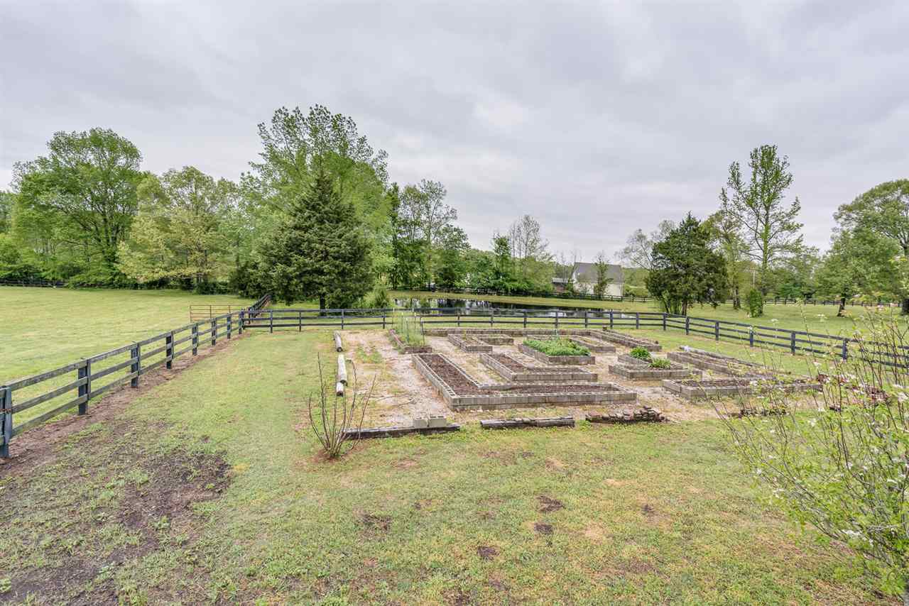 750 Anderson Road Moscow, TN 38057 - Photo 24 of 25 Ready for Spring Planting! One of the beds has a mature asparagus crop!