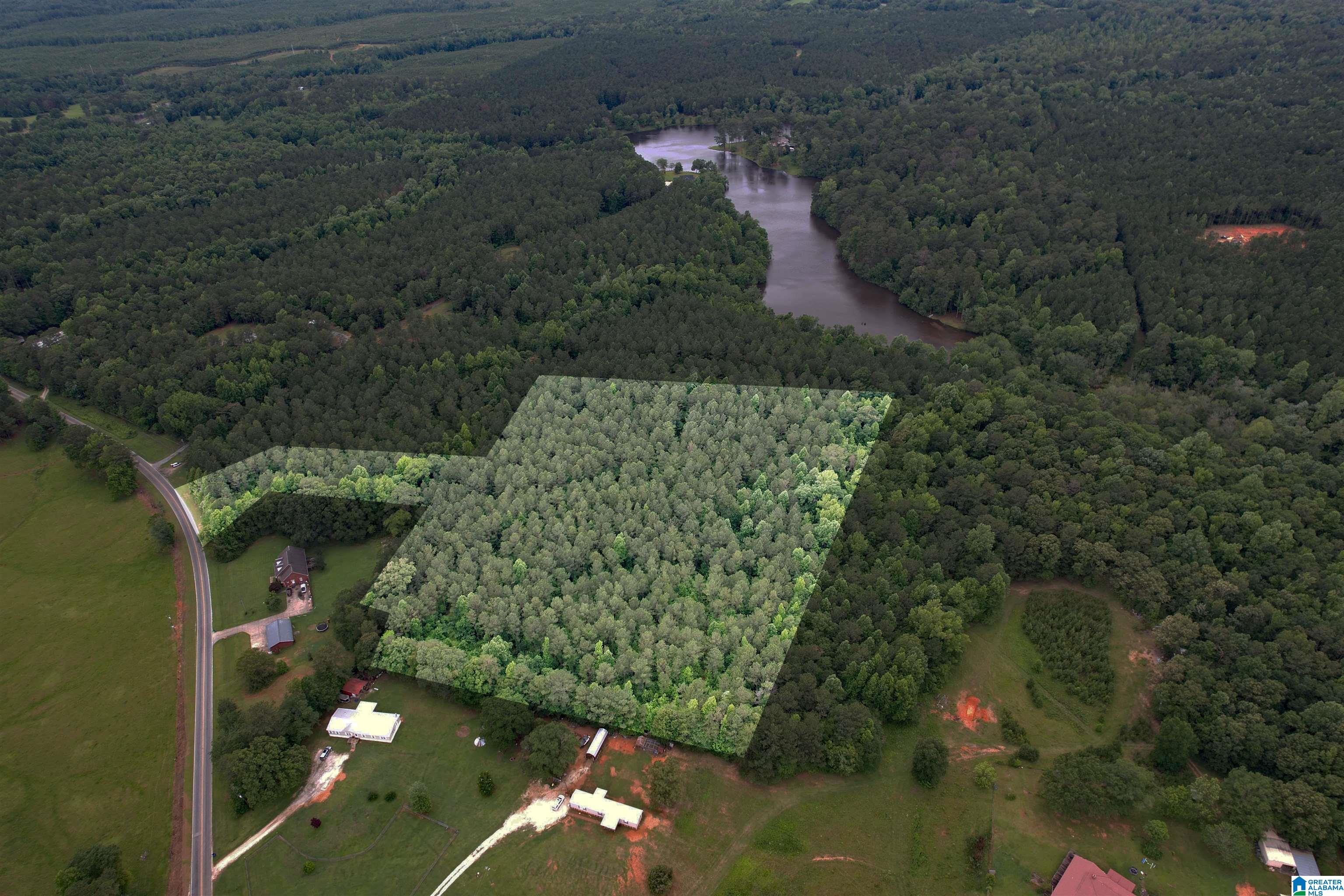 0 Houston Road Sylacauga, AL 35151 - Photo 12 of 32