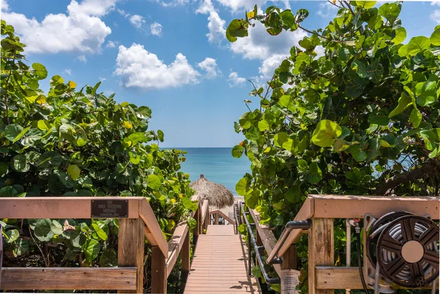 a view of an outdoor space with garden