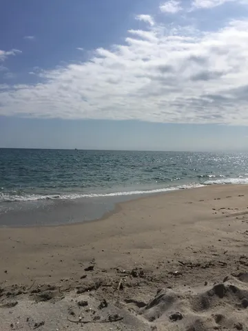 a view of beach and ocean